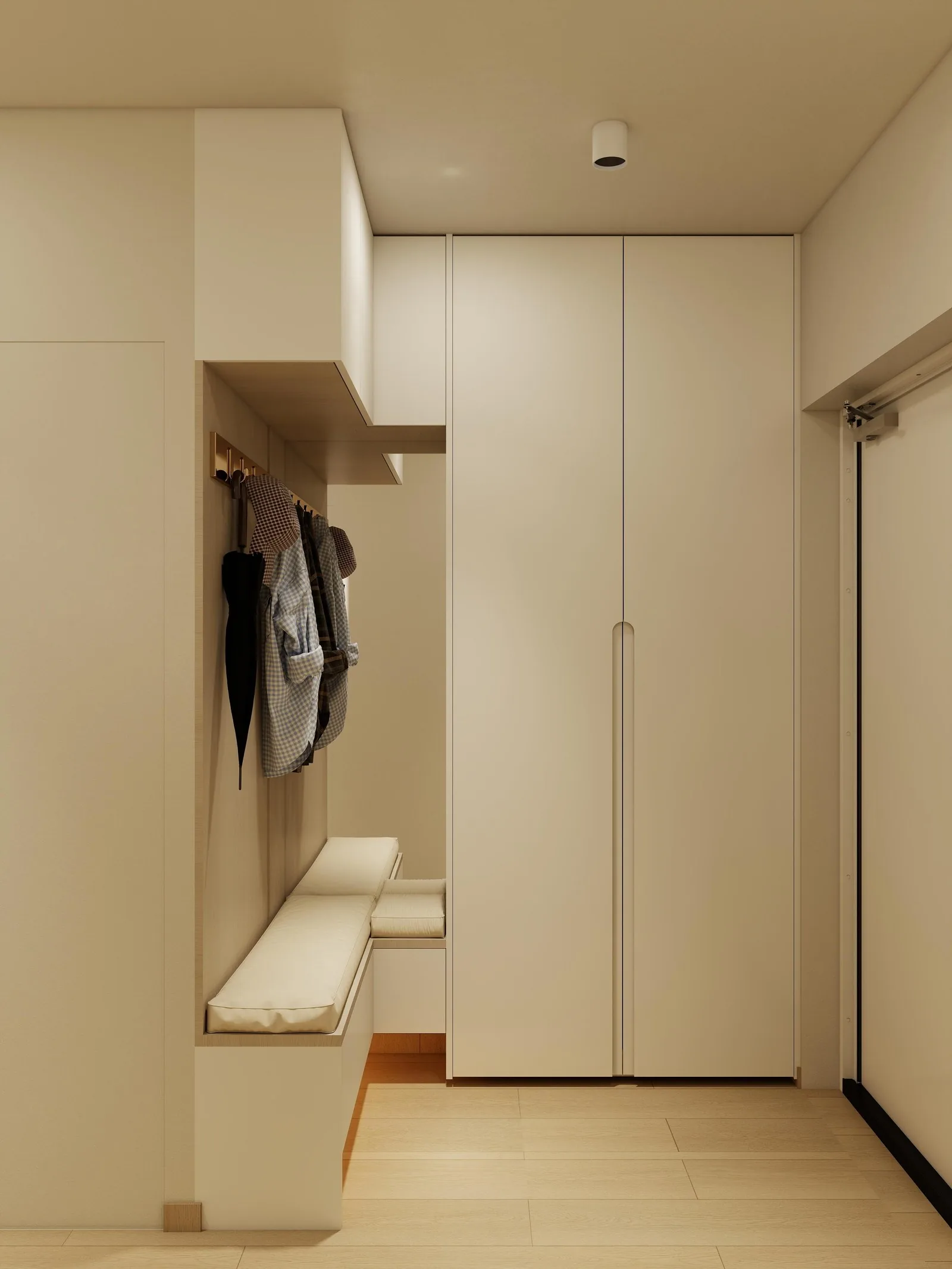 Entry storage with hanging rails and lit bench, UK
