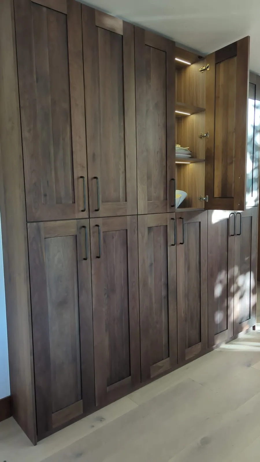 Dark walnut built-in cabinets with lighting inside
