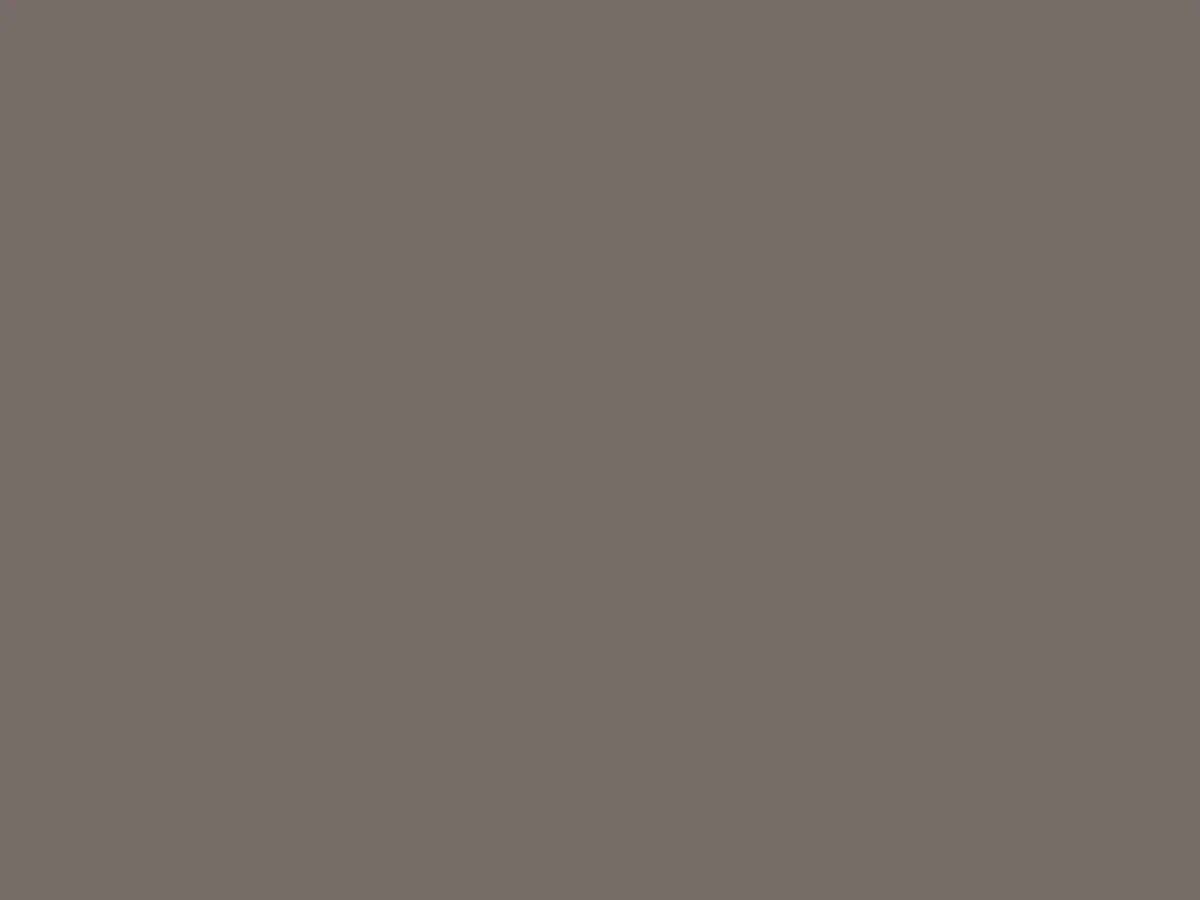 Matte painted finish swatch in neutral taupe